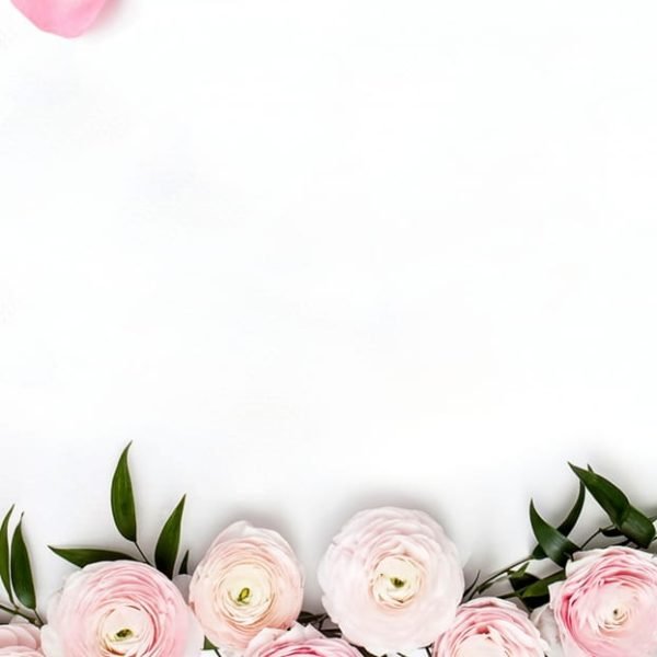 Bouquet Rose Roses Flower Background