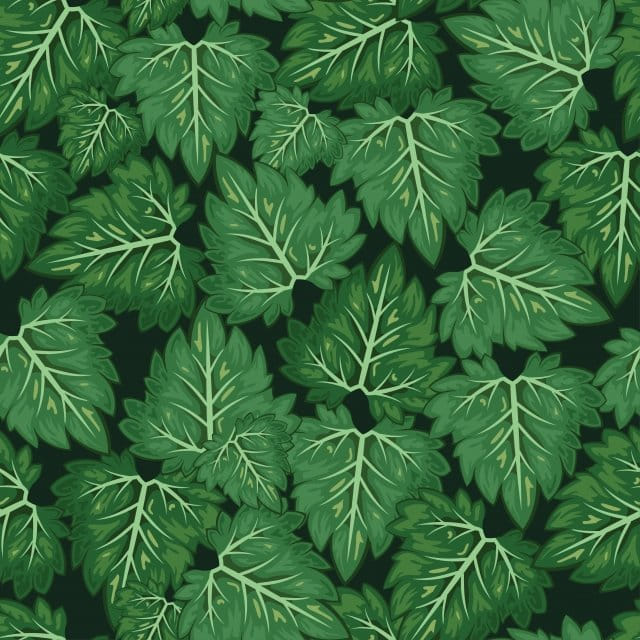 Leaf Vector Pattern Background